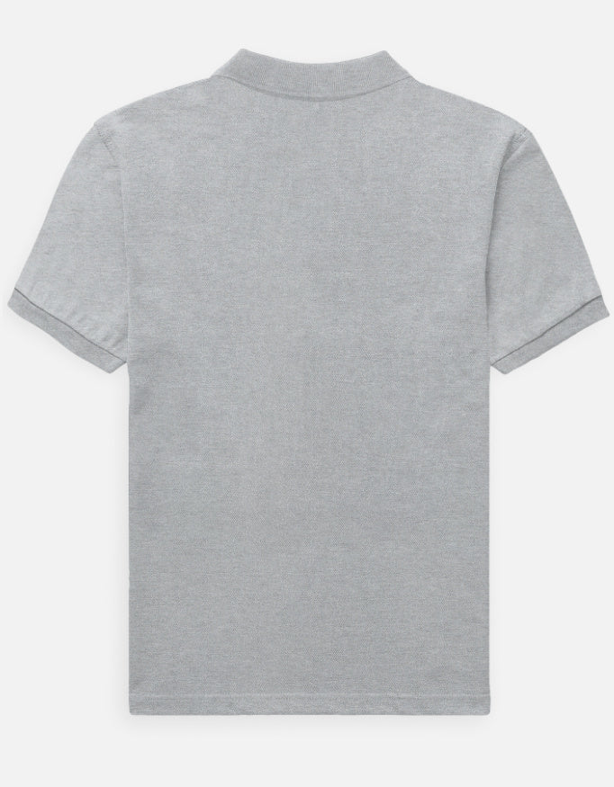 Gray Back_3_c_4.jpg
